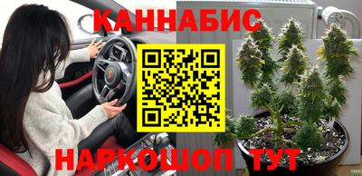 МДПВ Пенза