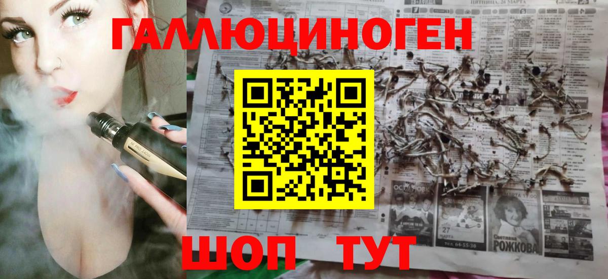 сколько стоит  Вход с VPN  Саров  Галлюциногенные грибы Psilocybine cubensis 